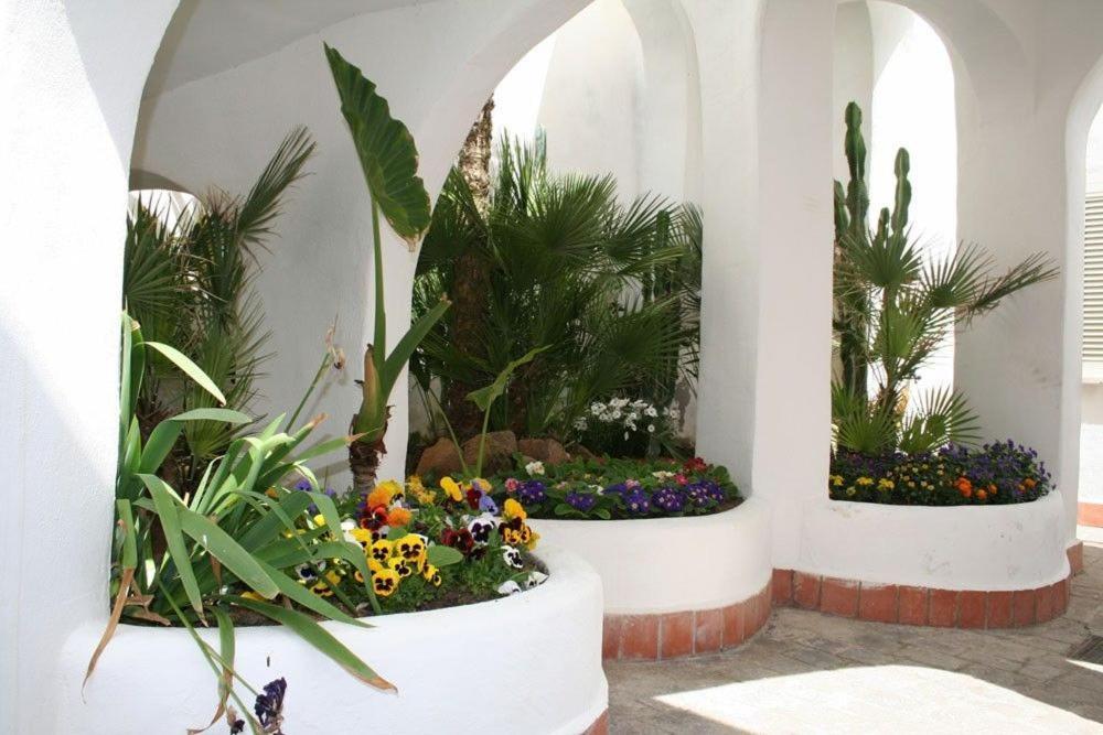 Apartahotel Elianto